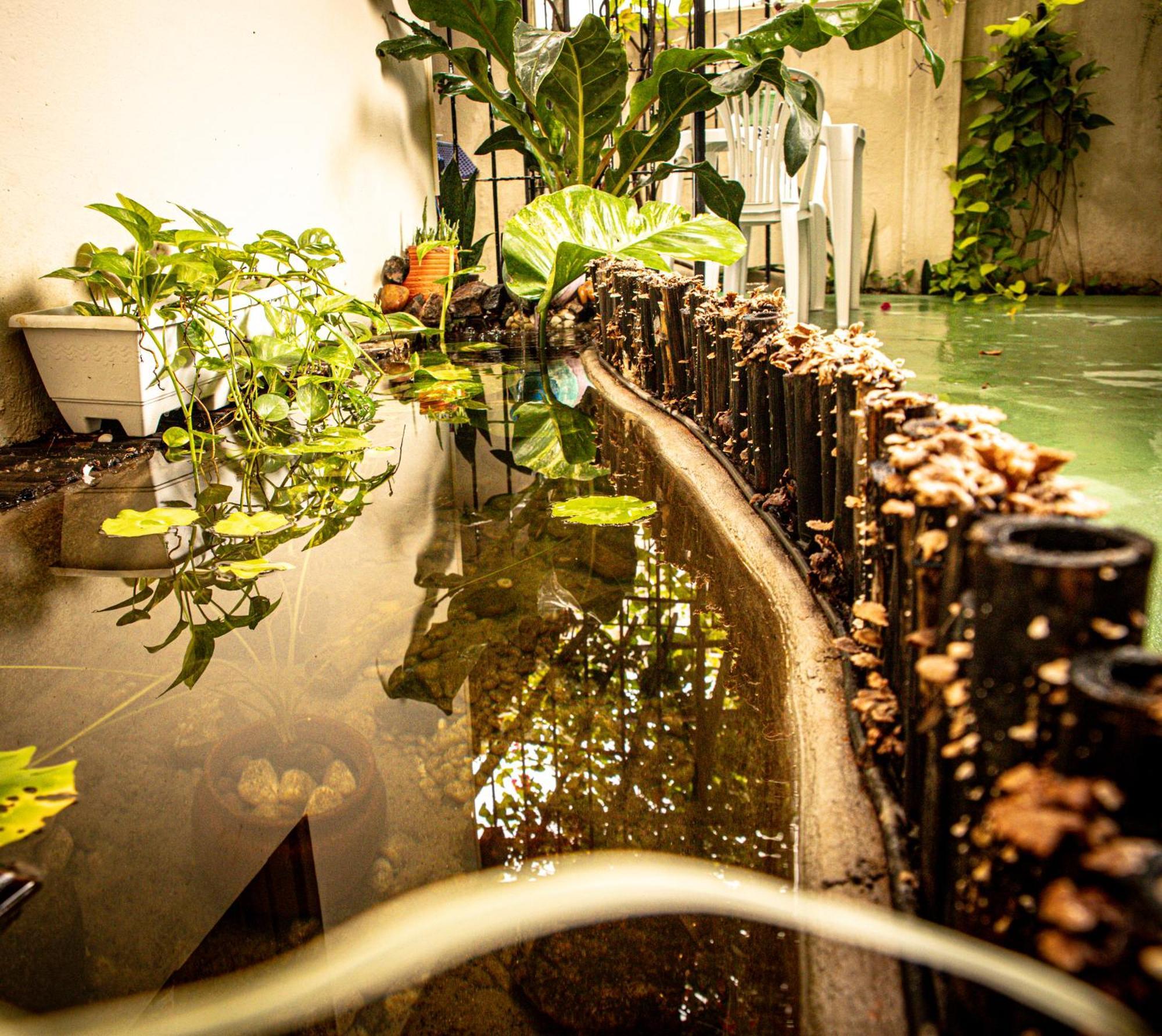 Pousada Residencial ปอร์โต จิ กาลินญาส ภายนอก รูปภาพ